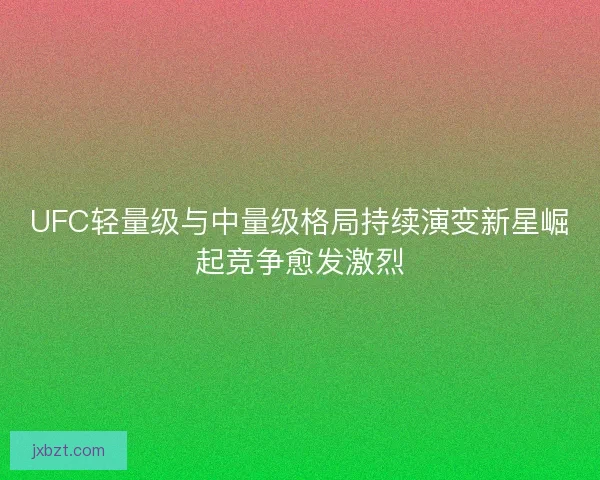 UFC轻量级与中量级格局持续演变新星崛起竞争愈发激烈