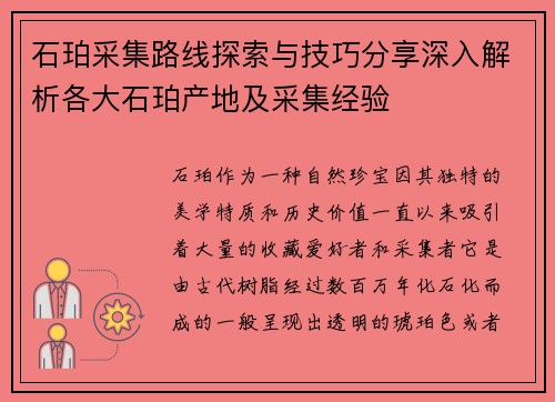 石珀采集路线探索与技巧分享深入解析各大石珀产地及采集经验