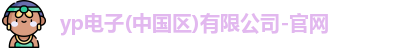 yp电子